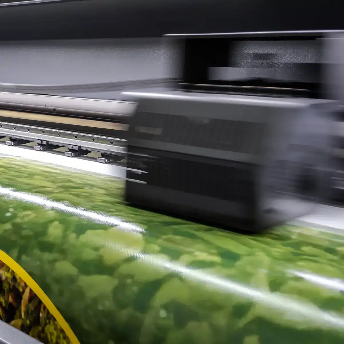 Stampa digitale di grande formato colore verde